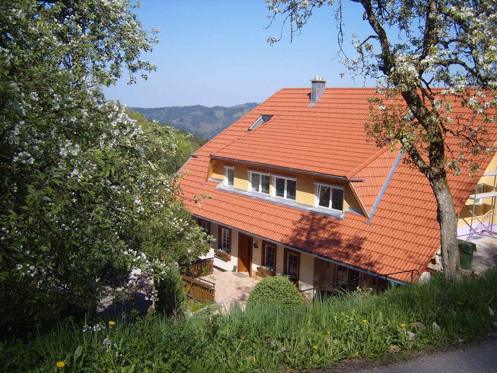 Langenberghof Apartment Oberharmersbach Ngoại thất bức ảnh